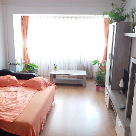 Апартаменты Apartament Anca Констанца Экстерьер фото