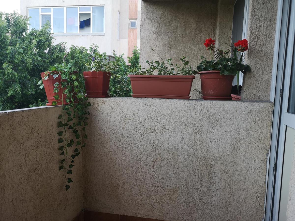 Апартаменты Apartament Anca Констанца Экстерьер фото