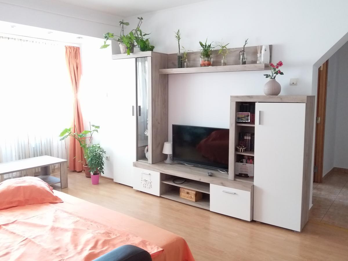 Апартаменты Apartament Anca Констанца Экстерьер фото