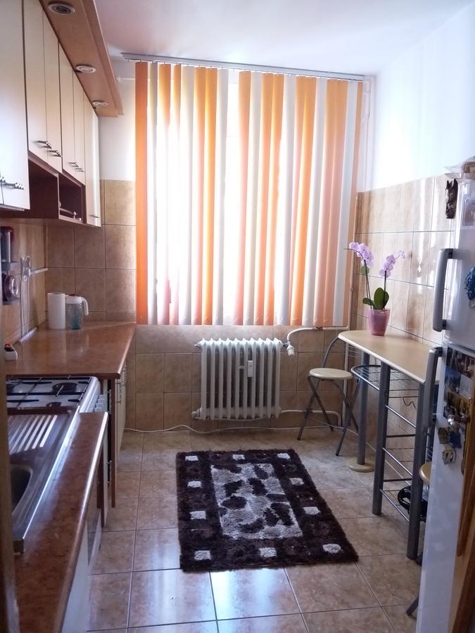 Апартаменты Apartament Anca Констанца Экстерьер фото