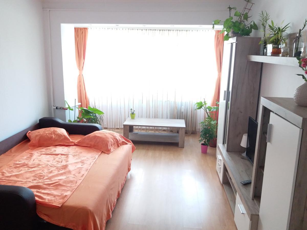 Апартаменты Apartament Anca Констанца Экстерьер фото
